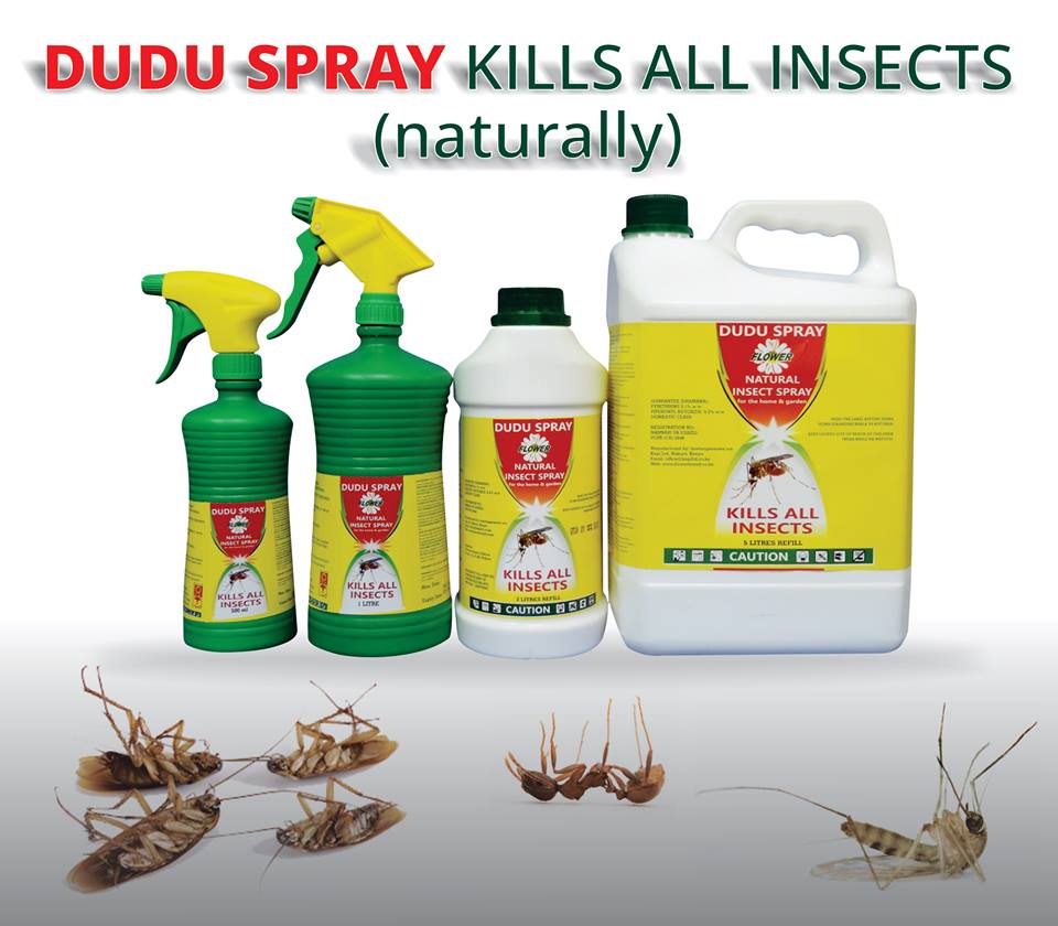 Dudu Spray 1L for Mosquitoes, Cockroaches, and Ants - Image 2