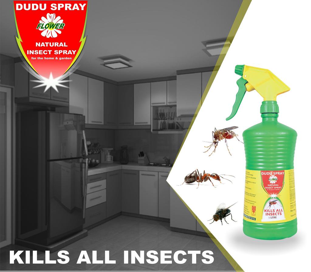 Dudu Spray 1L for Mosquitoes, Cockroaches, and Ants - Image 3