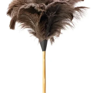 feather-duster-600x855