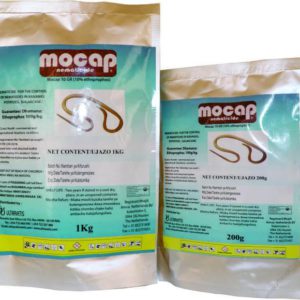 Mocap (1kg)
