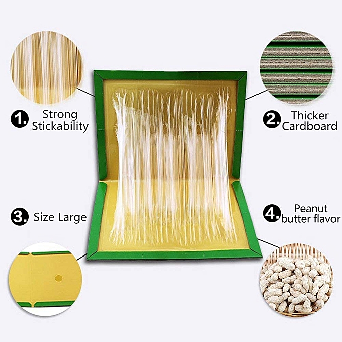 Rat & Mouse Glue Board - Image 5