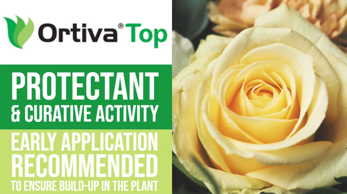 Ortiva Top 325 SC - 1ltr