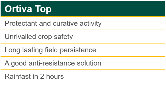Ortiva Top 325 SC - 1ltr