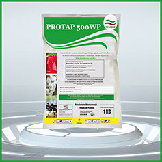 Protap 500WP (400g)