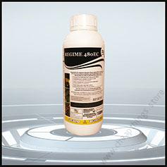 Regime 480EC (100ml)