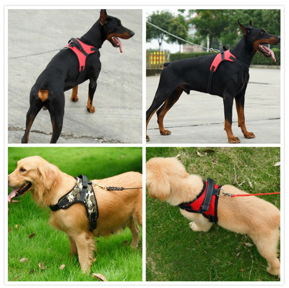 Saddle Dog Harness Large