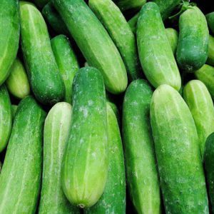 Ashley cucumber 10gms