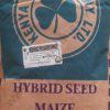 H 614D Maize Hybrid Seed 2kg
