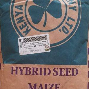 H 614D Maize Hybrid Seed 2kg