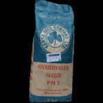 PH 1 Maize Hybrid Seed 2kg