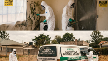 Technicians in protective suits fumigating mold indoors and spraying disinfectant around a vehicle outdoors