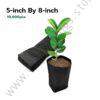 Seedling Bags 5x8 (Packet of 10,000 Pieces)