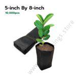 Seedling Bags 5×8 (Packet of 10,000 Pieces)