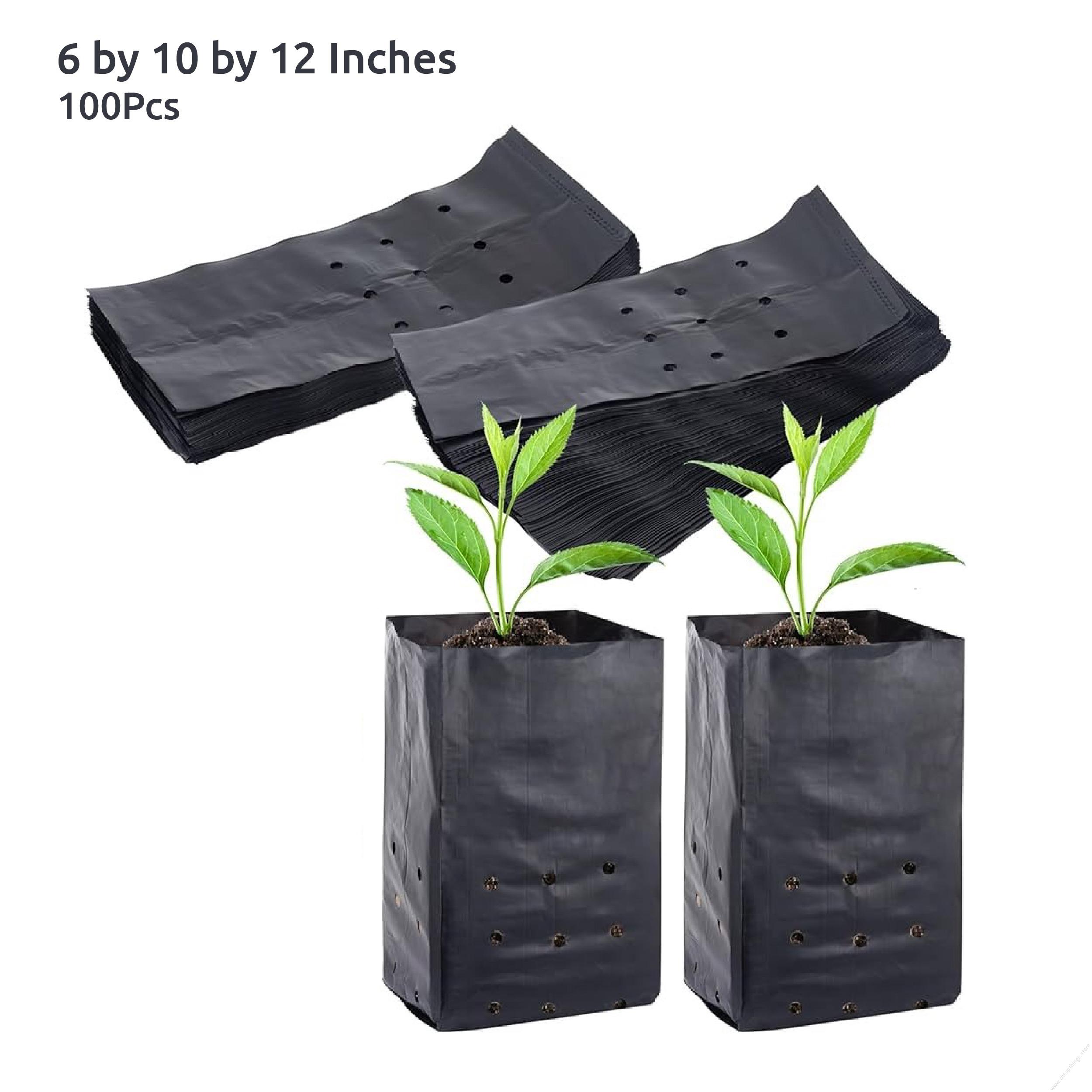 Seedling Bags 6x10x12 (Packet of 100 Pieces)